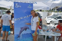 programme zum monitoring und schutz der schwarzmeer-delphine